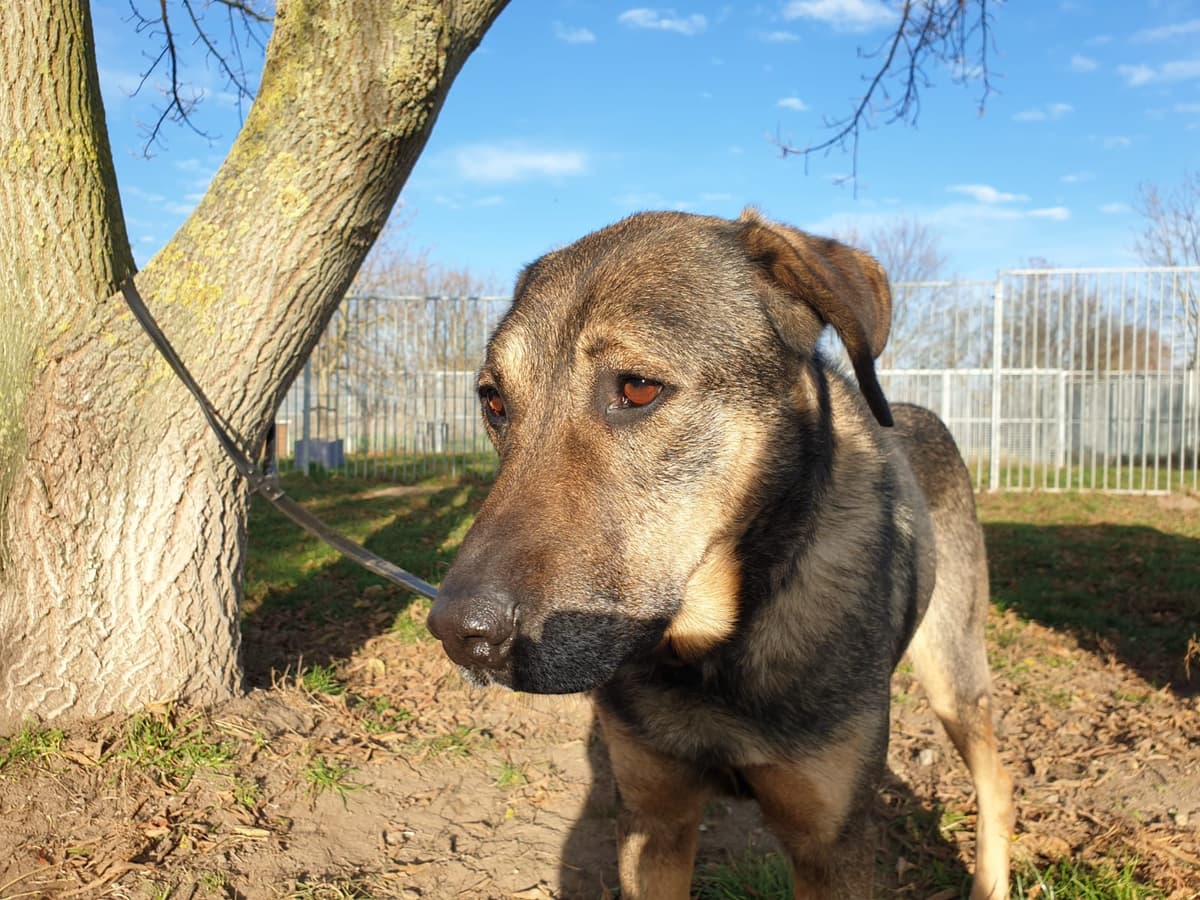 Cicero - - Bild 2
