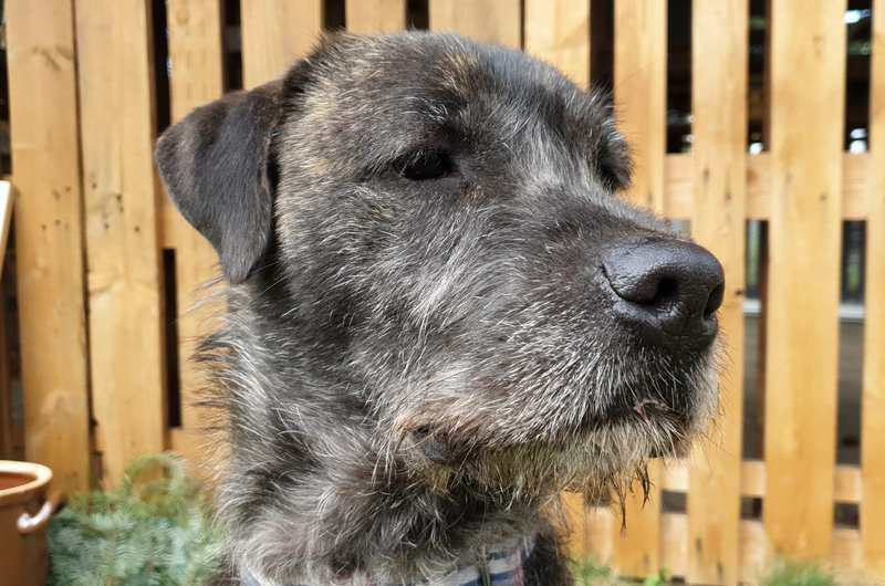 Hagred - - Bild 11