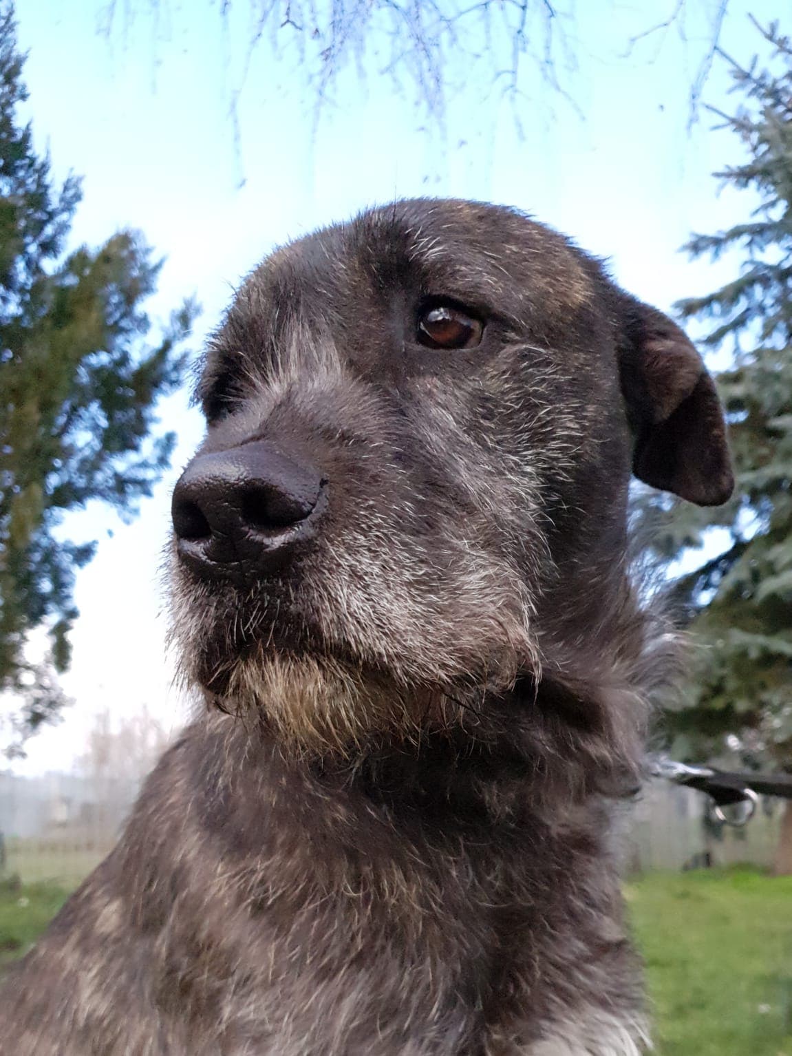 Hagred - - Bild 13