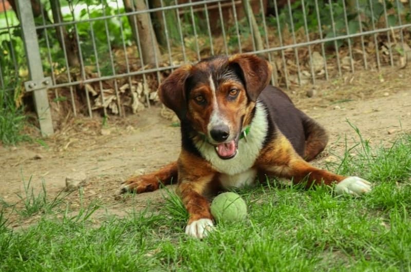 Frieda - - Bild 1