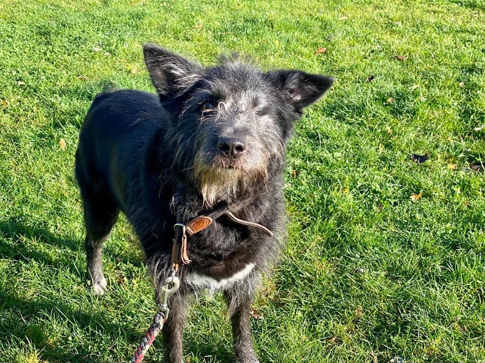 Lilly - - Bild 1