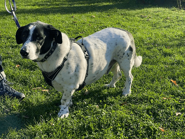 Bruno - - Bild 4