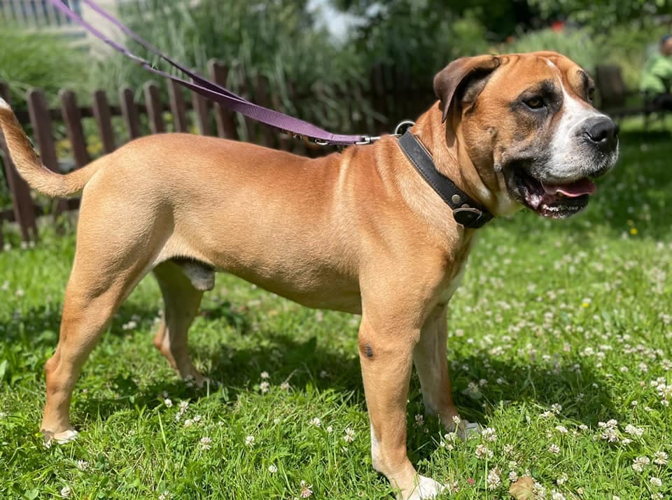 Kanka - - Bild 2