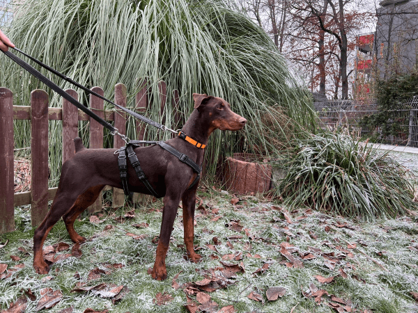 Nadia - - Bild 1
