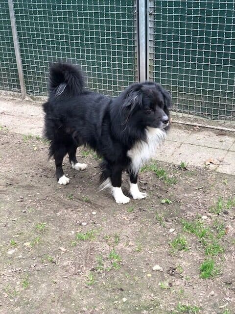 Nero - - Bild 3