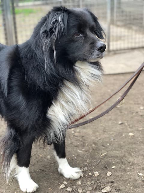 Nero - - Bild 4