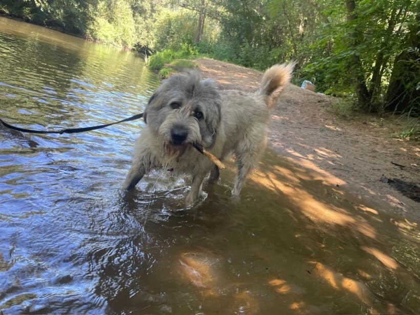 Eddie - - Bild 3
