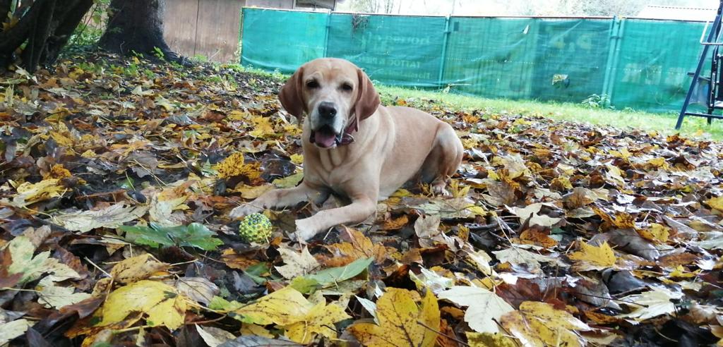 Matti - - Bild 1