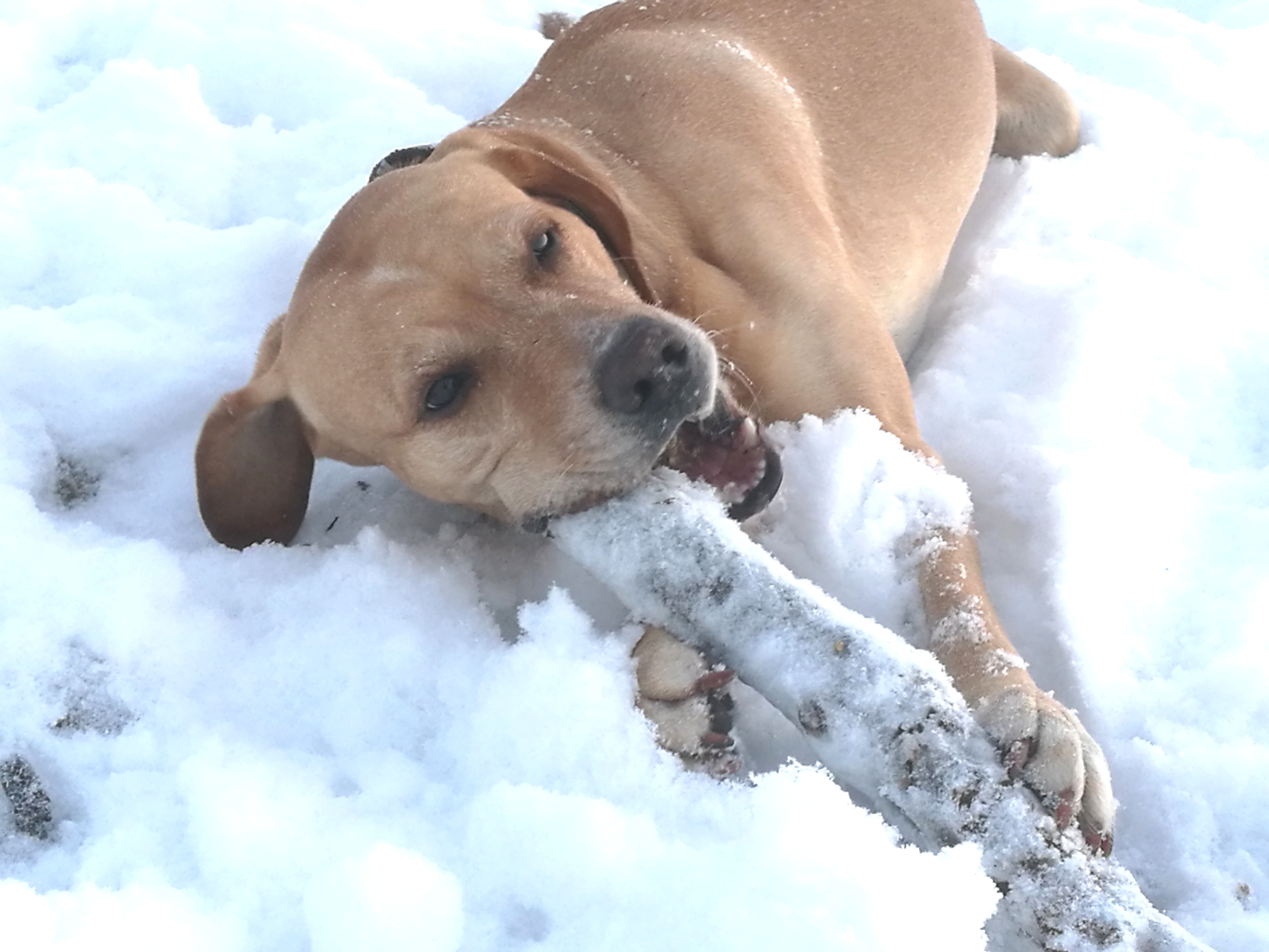 Matti - - Bild 3