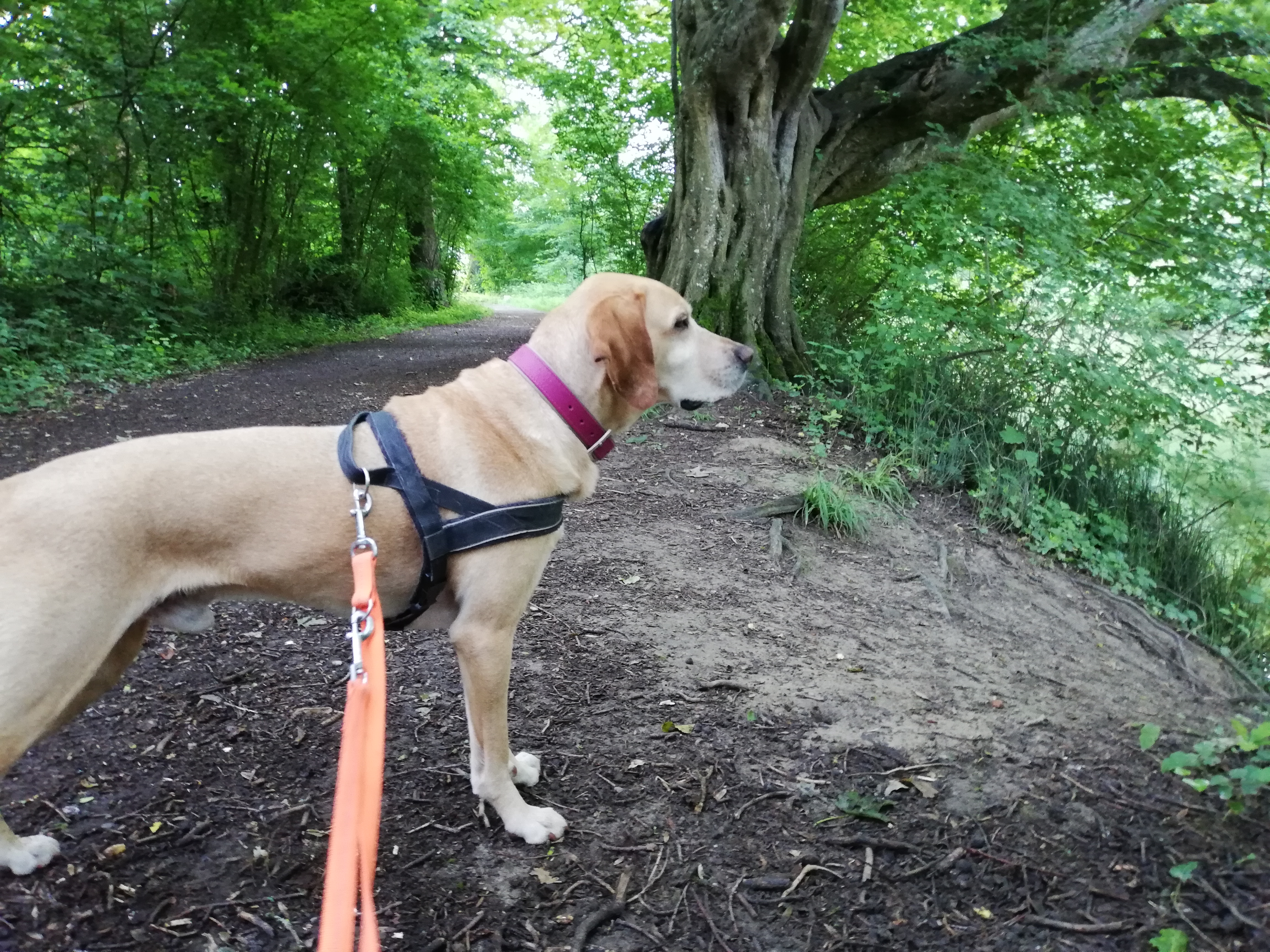 Matti - - Bild 4
