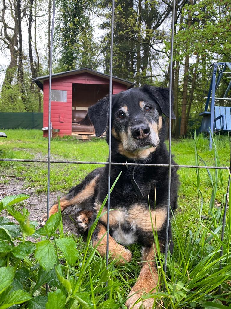 Max - - Bild 1