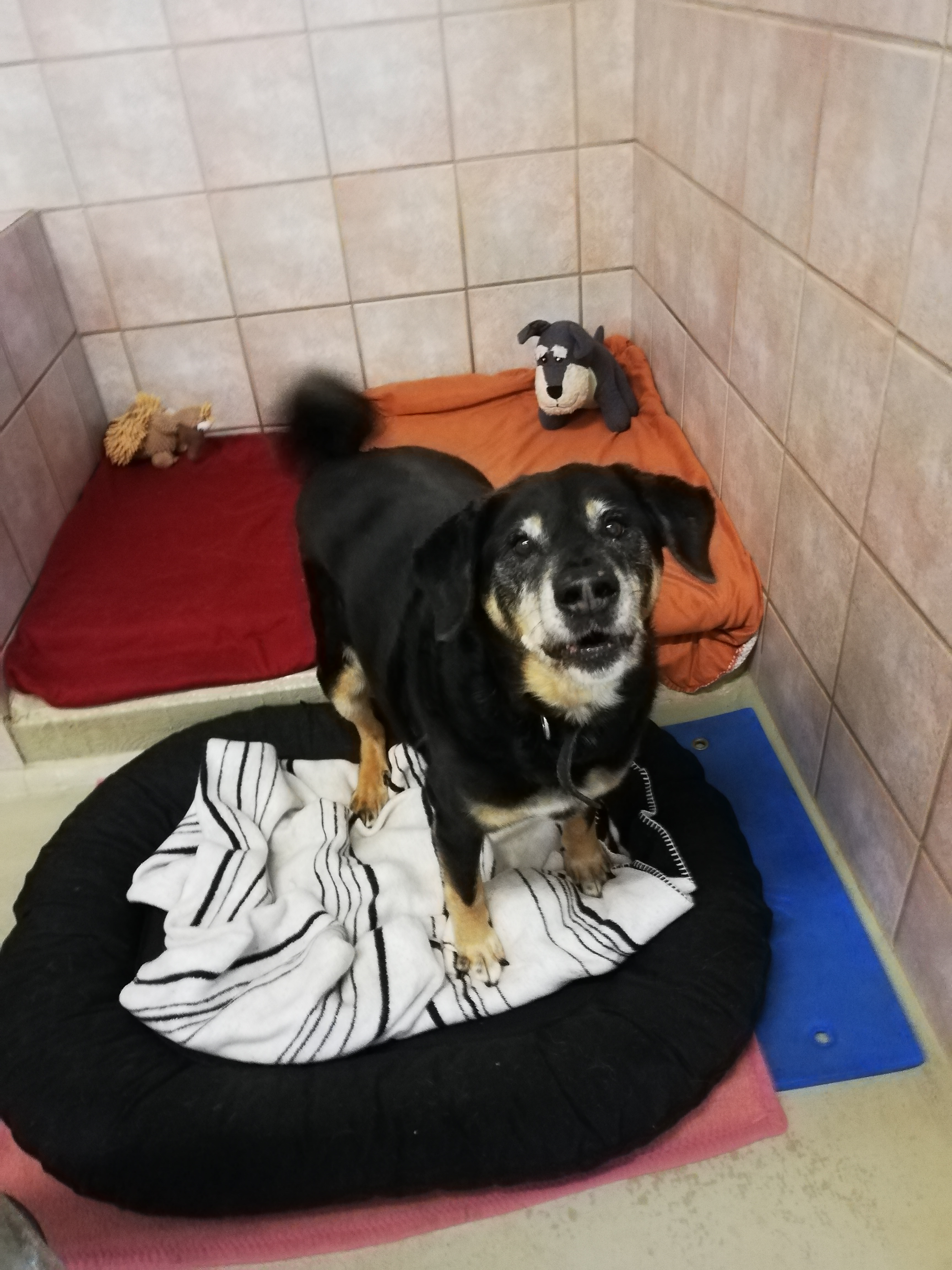 Max - - Bild 2