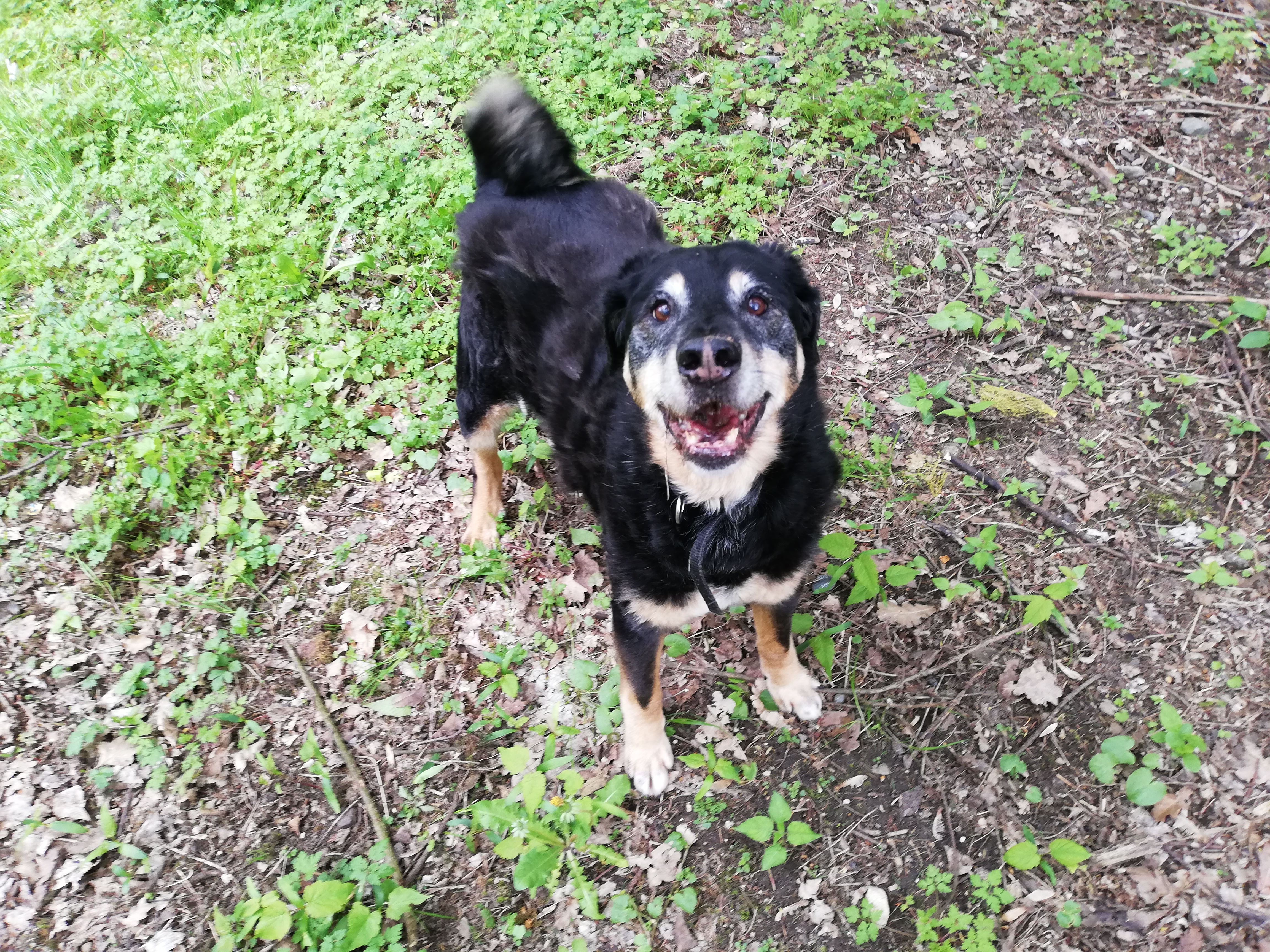 Max - - Bild 3