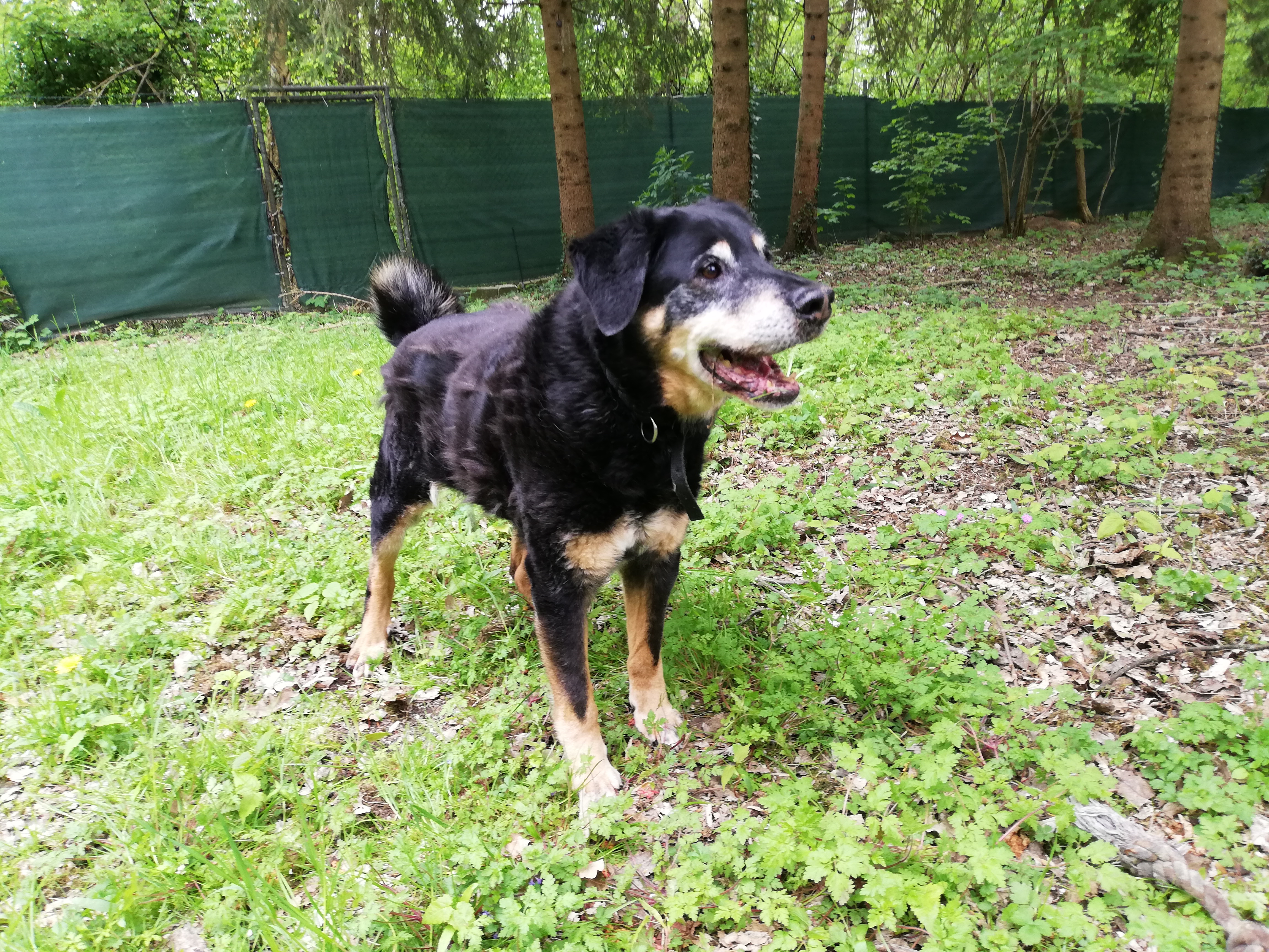 Max - - Bild 4