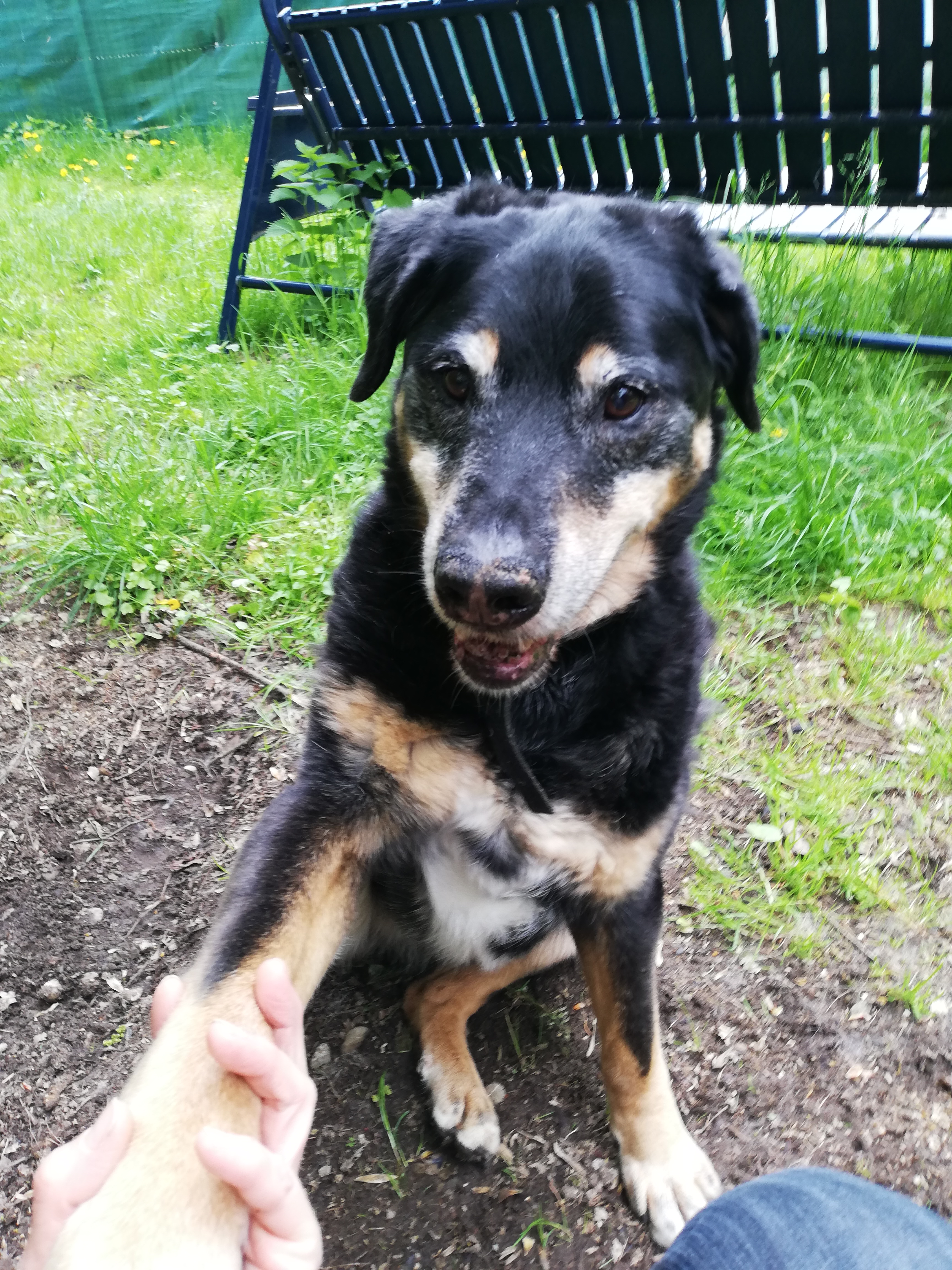 Max - - Bild 5
