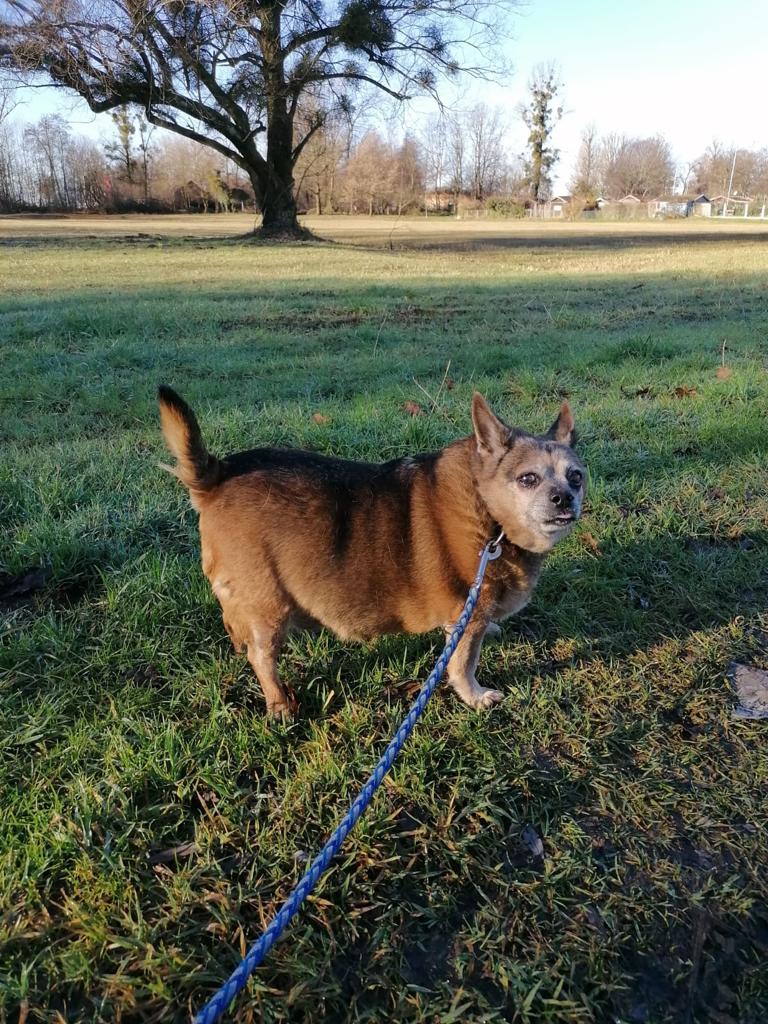 Mausi - - Bild 1