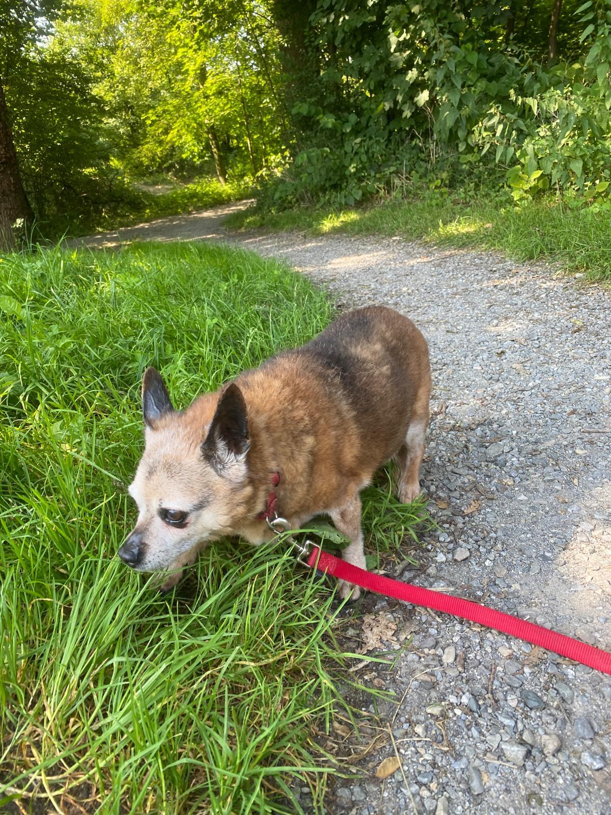Mausi - - Bild 3