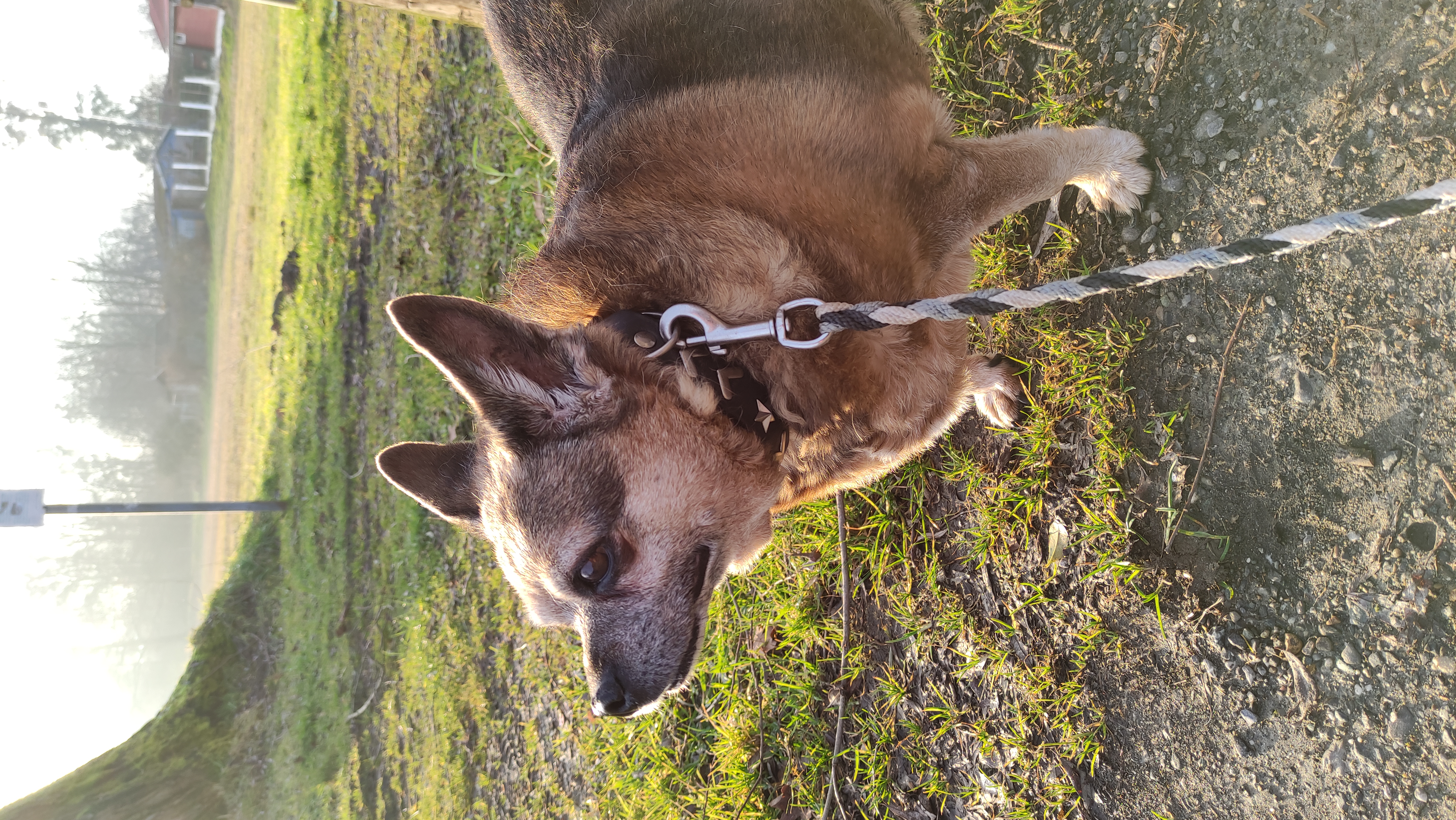 Mausi - - Bild 7