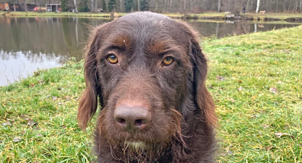 Fynn - - Bild 7