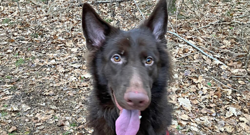 Haku - - Bild 9