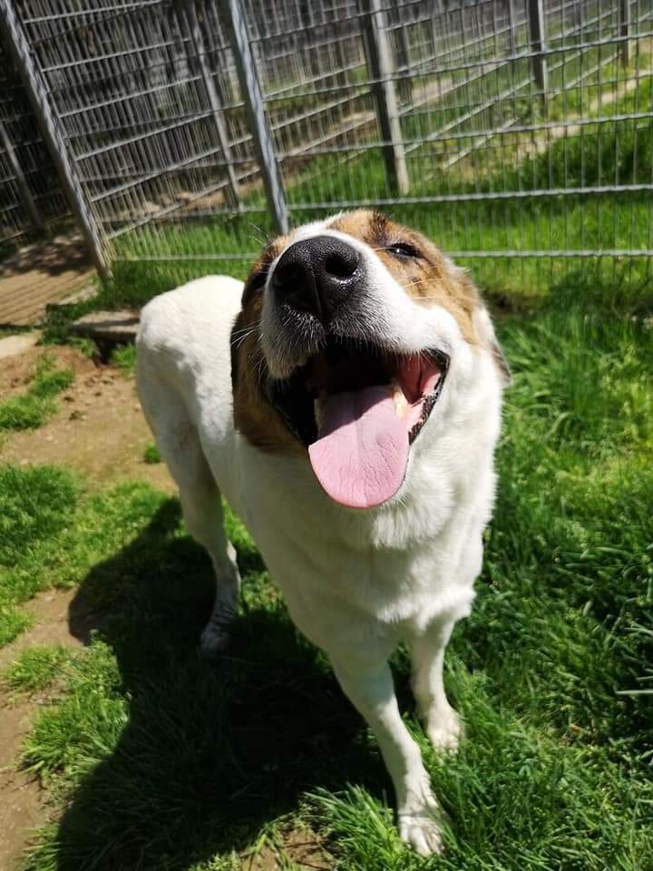 Jack - - Bild 1