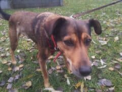 Roxy - - Bild 4