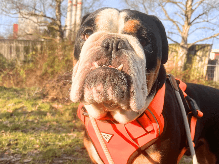 King Milow - - Bild 2