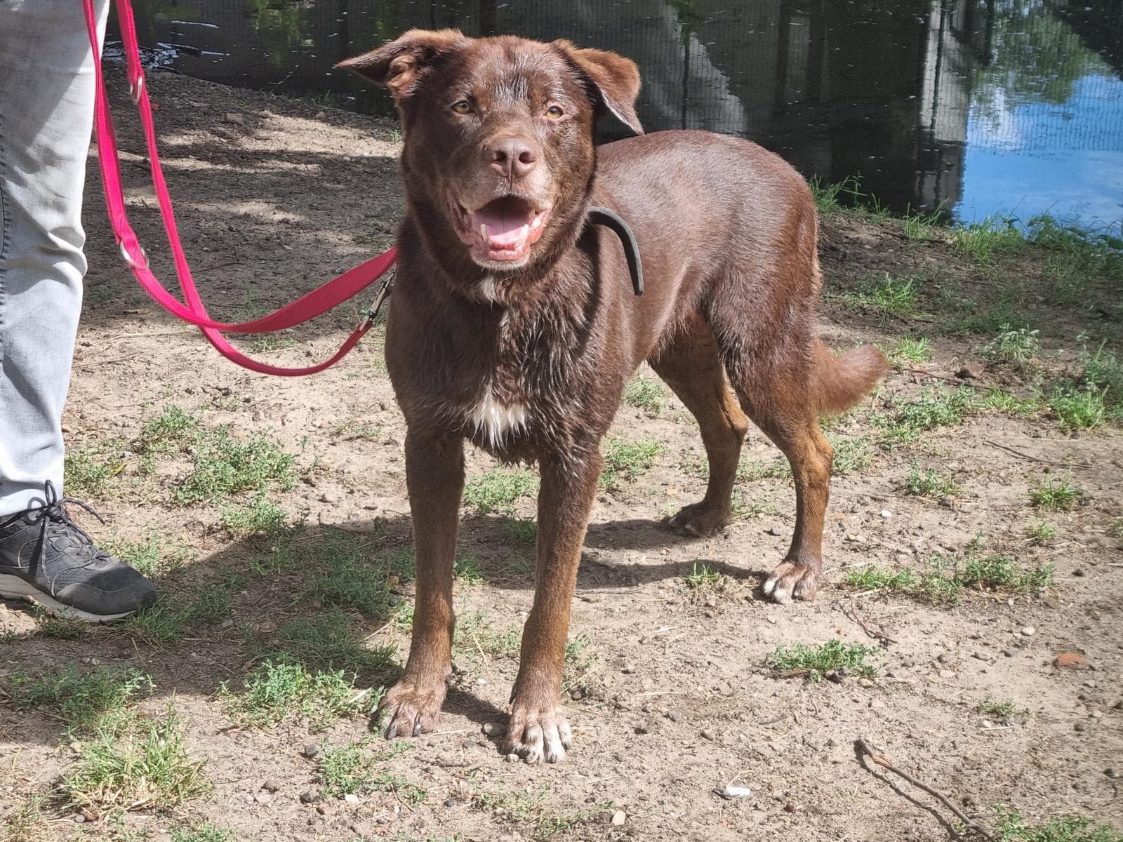 Zeus - Ca de Bestiar - Bild 5