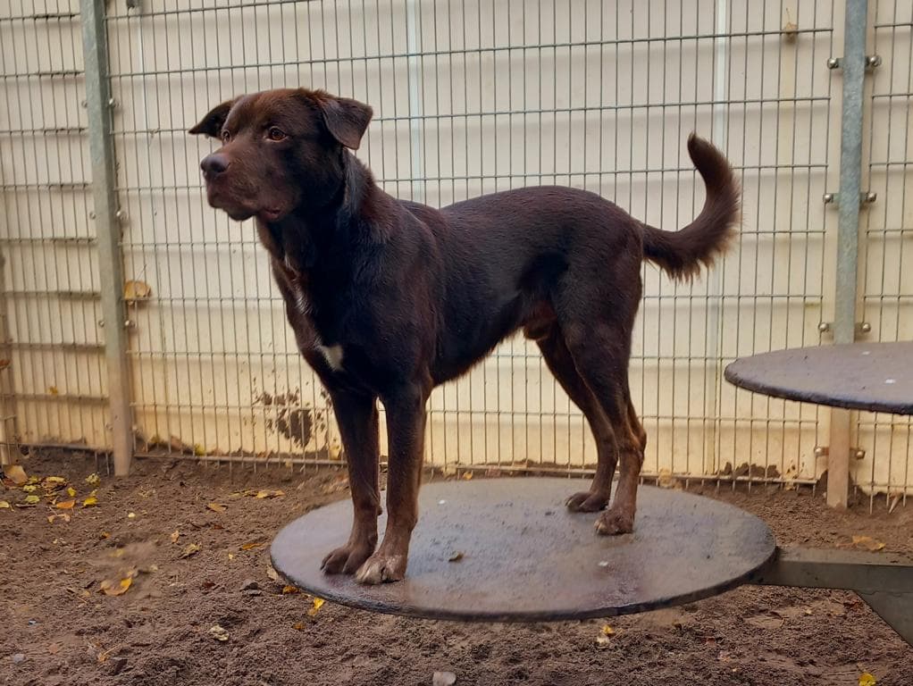 Zeus - Ca de Bestiar - Bild 3