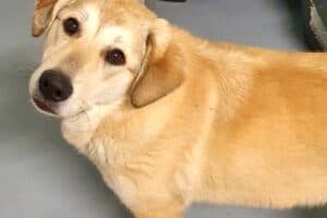 Annika Vogel - - Bild 3