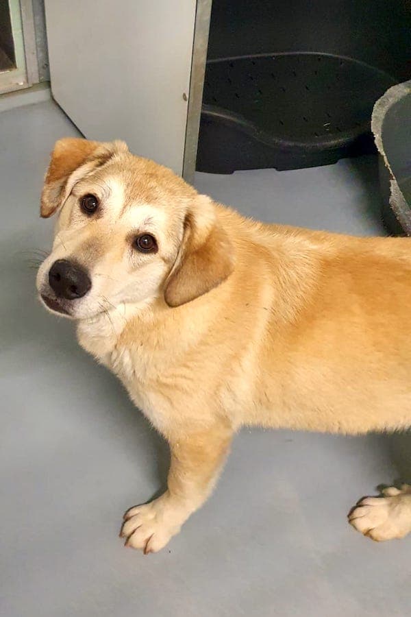 Annika Vogel - - Bild 2