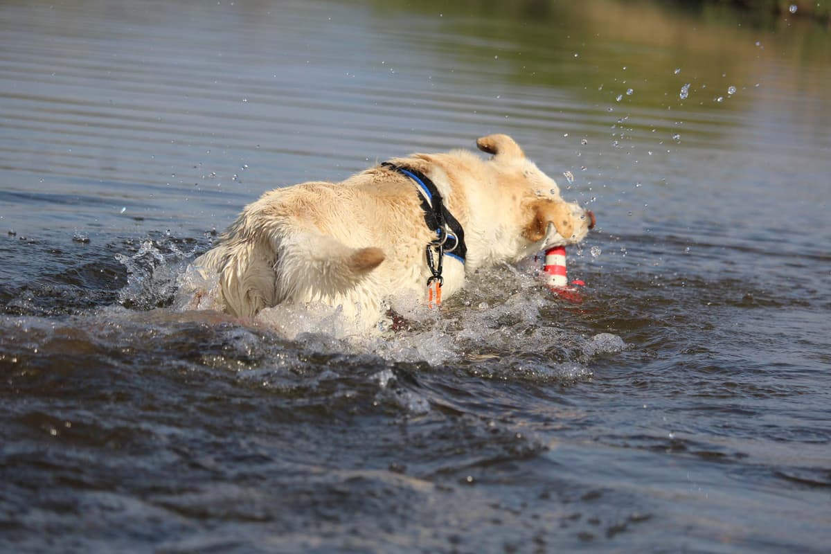 Max - - Bild 10