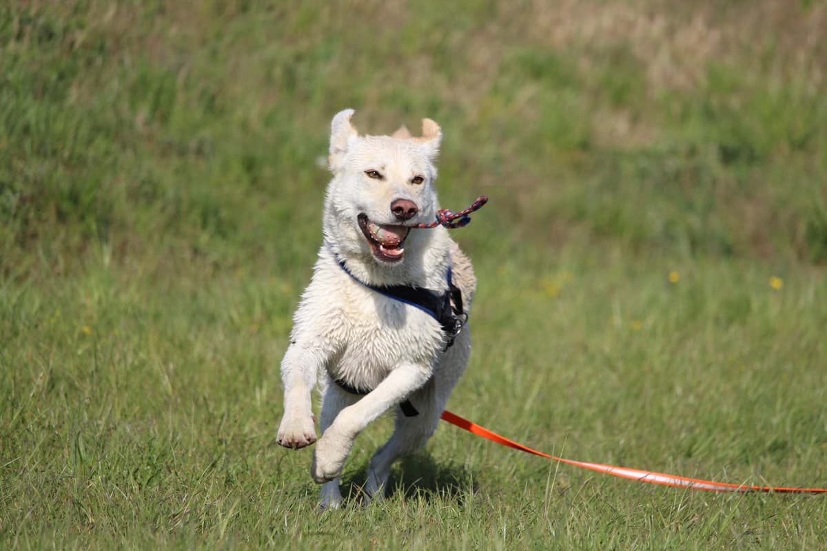 Max - - Bild 7