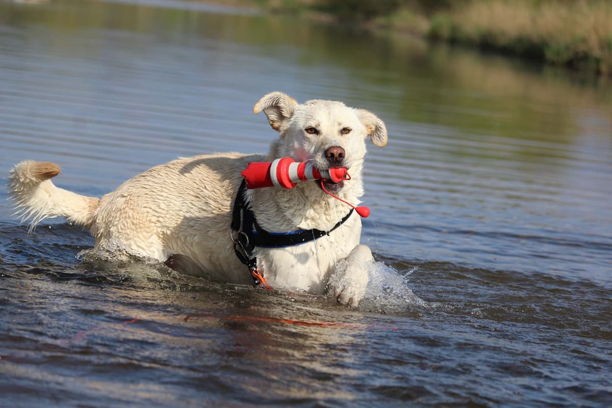 Max - - Bild 9