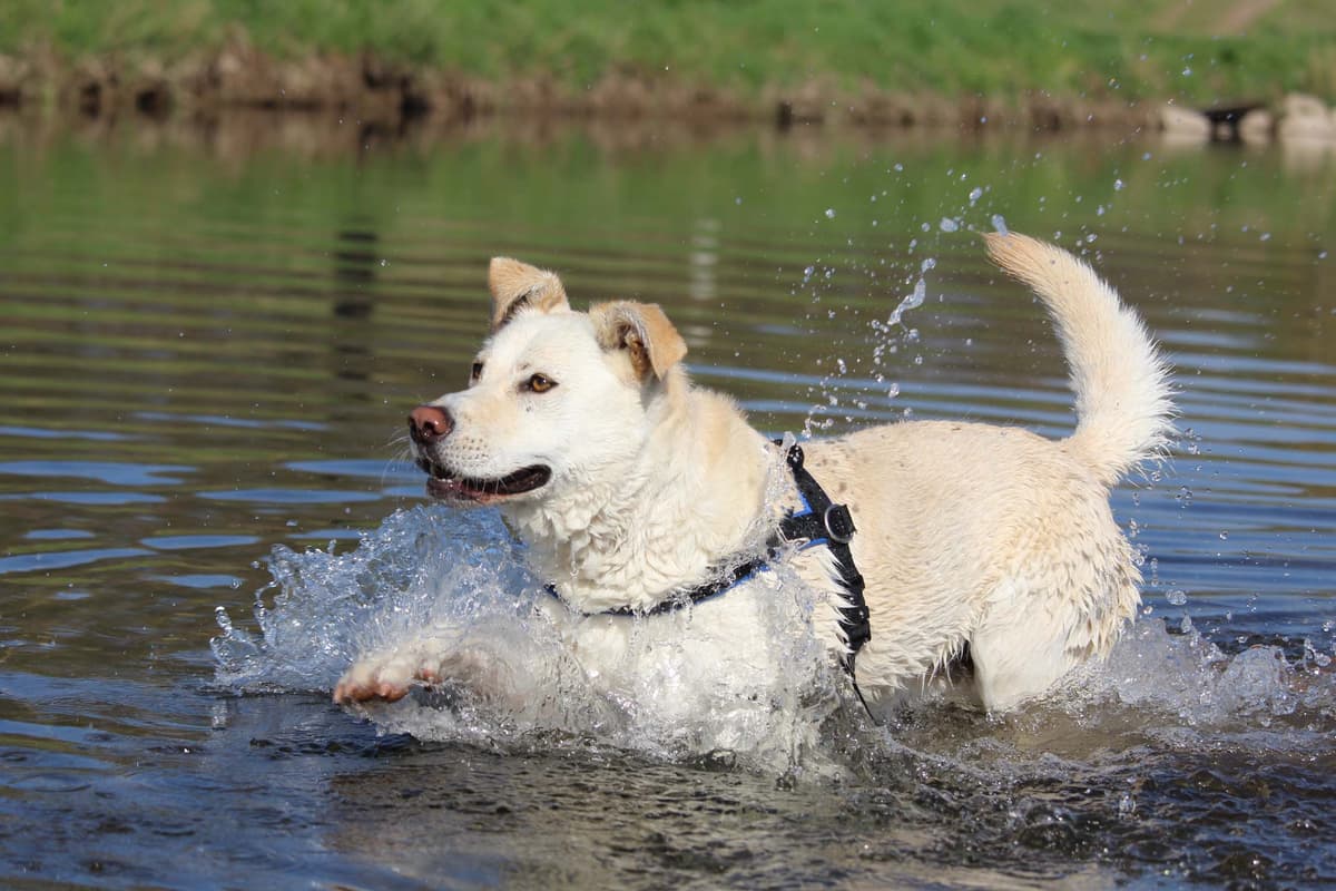 Max - - Bild 11