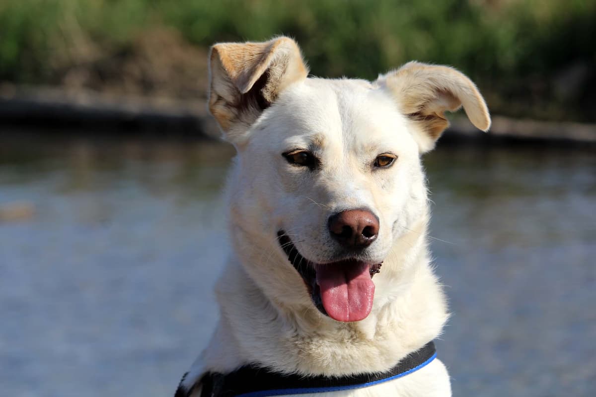 Max - - Bild 4