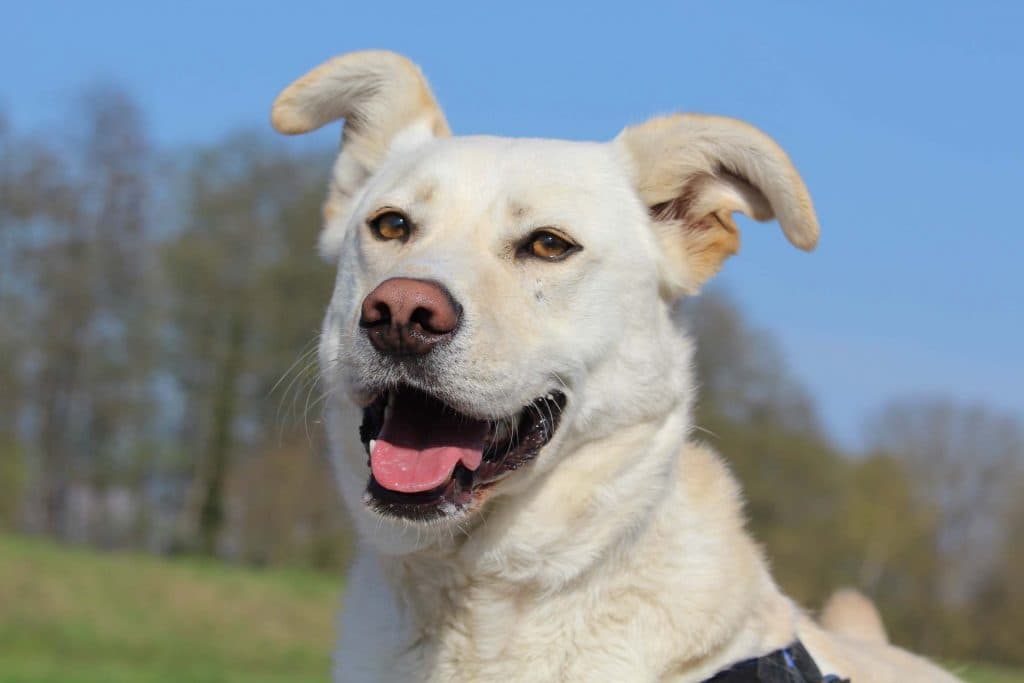 Max - - Bild 2