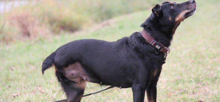 Fiona - - Bild 23