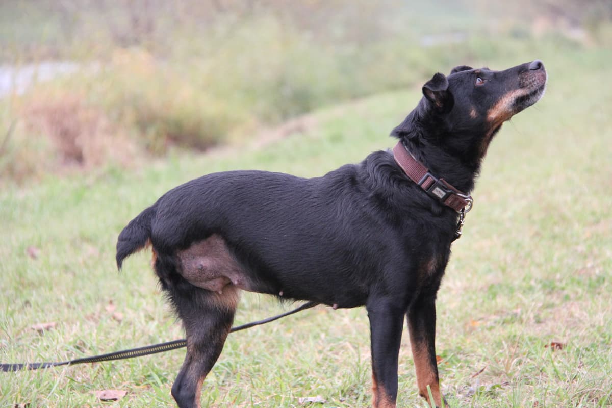 Fiona - - Bild 22