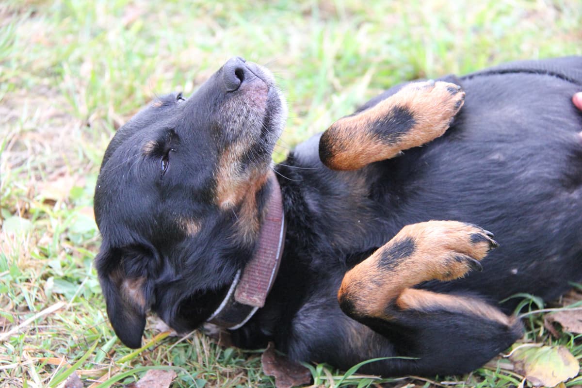 Fiona - - Bild 24