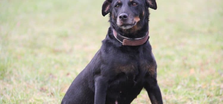 Fiona - - Bild 11