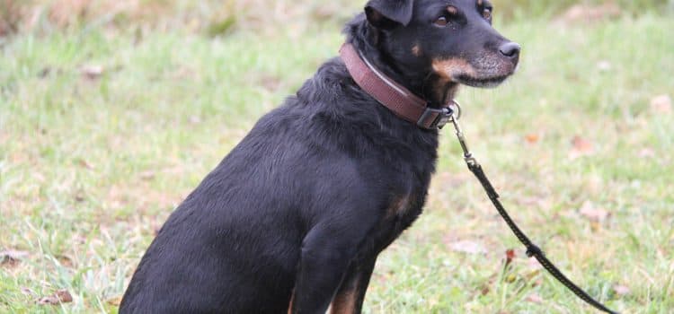 Fiona - - Bild 19