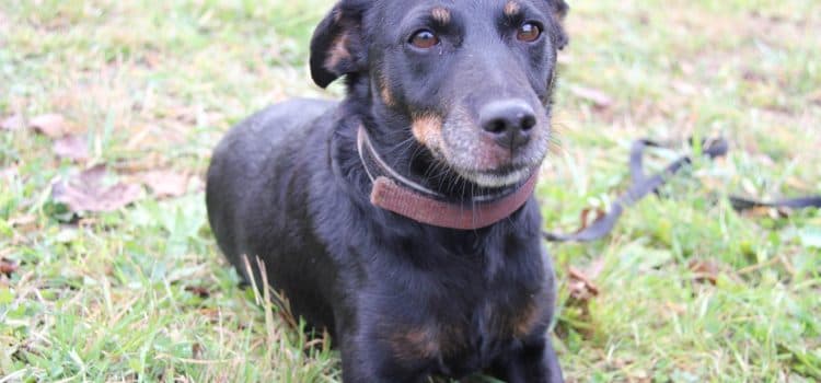 Fiona - - Bild 27