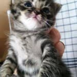 Fritzi - - Bild 12