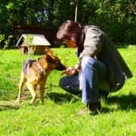 Fritzi - - Bild 2