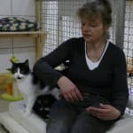 Fritzi - - Bild 20