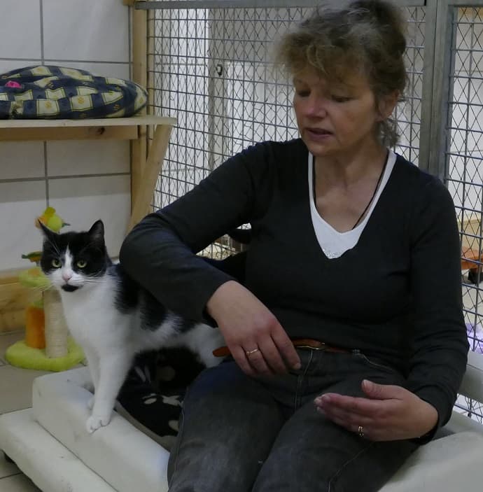 Fritzi - - Bild 19