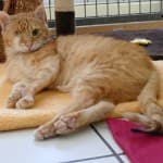 Wolfgang - - Bild 4