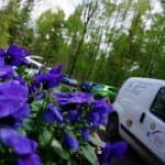 Alpha - - Bild 5