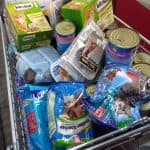 Alpha - - Bild 4